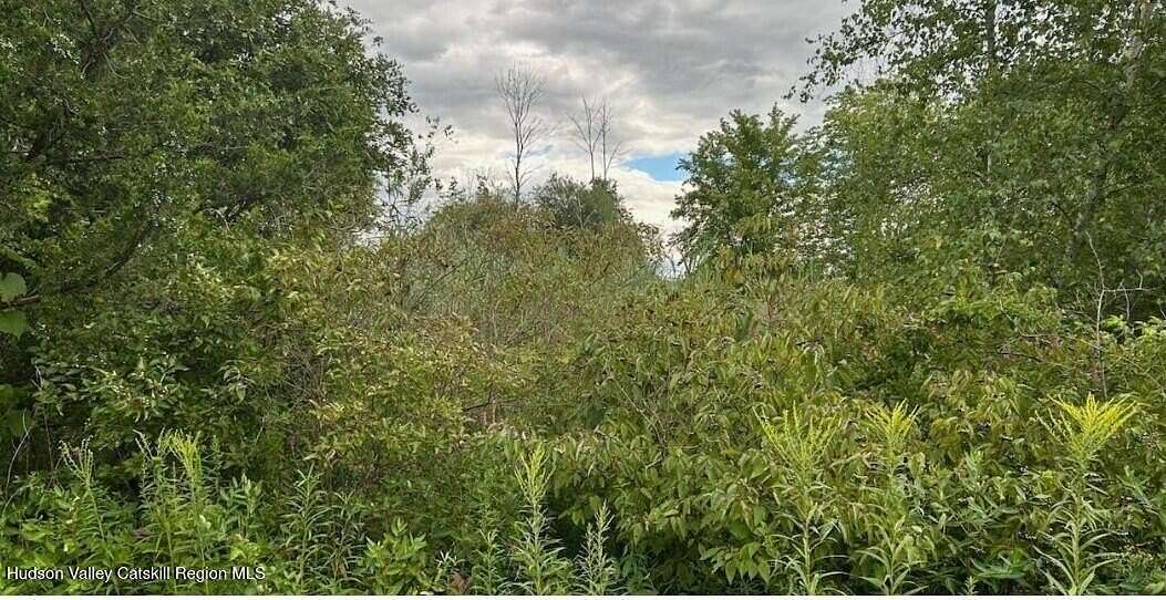 40 Acres of Land for Sale in New Baltimore, New York