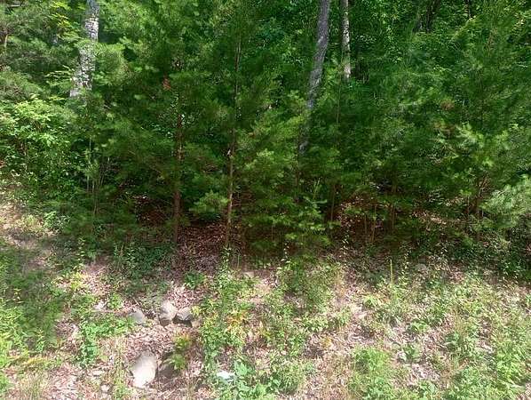 2.3 Acres of Residential Land for Sale in Ellijay, Georgia