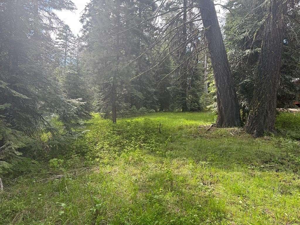 0.57 Acres of Residential Land for Sale in Donnelly, Idaho