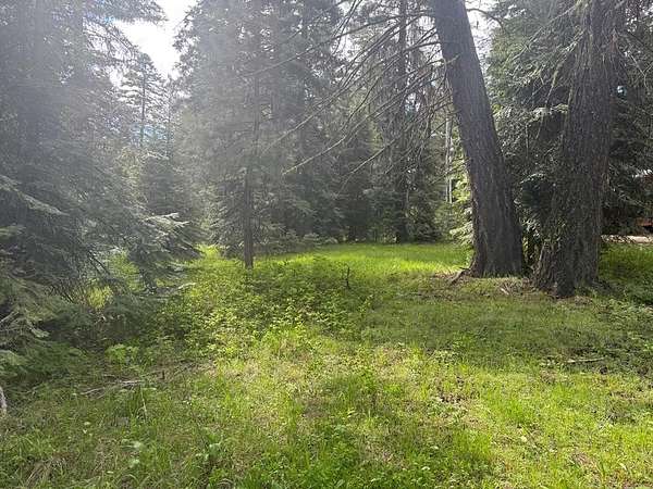 0.57 Acres of Residential Land for Sale in Donnelly, Idaho