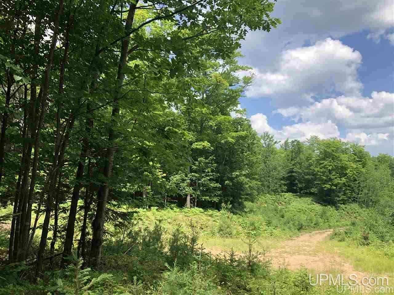 36 Acres of Recreational & Residential Land for Sale in Gwinn, Michigan