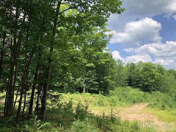 36 Acres of Recreational & Residential Land for Sale in Gwinn, Michigan