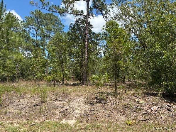 0.24 Acres of Residential Land for Sale in Dunnellon, Florida
