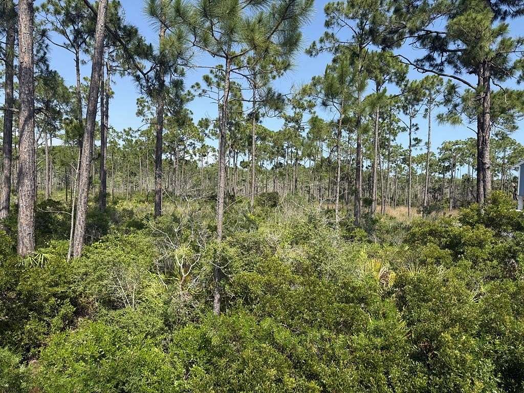 0.5 Acres of Residential Land for Sale in Port St. Joe, Florida