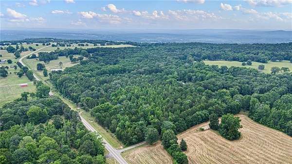 20 Acres of Recreational Land for Sale in Belleville, Arkansas