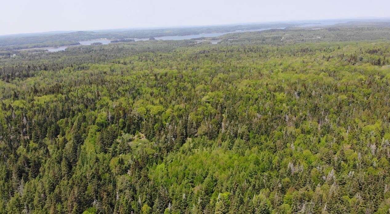 120 Acres of Recreational Land for Sale in Trescott Township, Maine