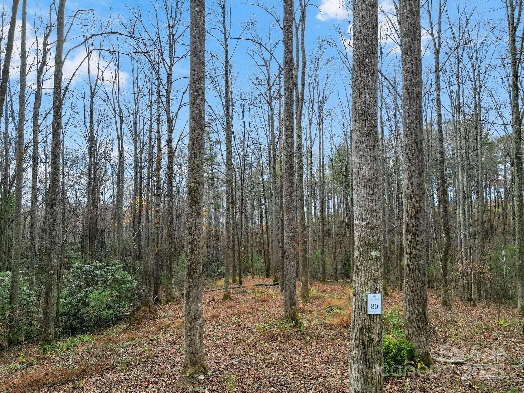 3.54 Acres of Residential Land for Sale in Fletcher, North Carolina