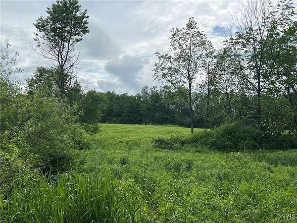 20 Acres of Agricultural Land for Sale in Cortland, New York