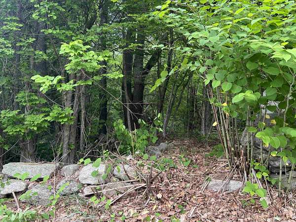 5 Acres of Residential Land for Sale in Milford, New Hampshire