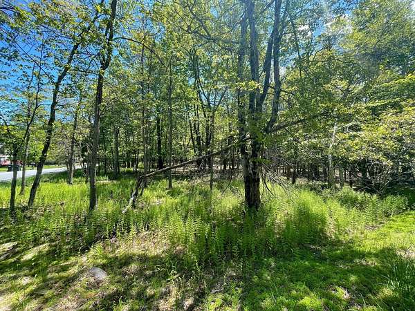 0.5 Acres of Residential Land for Sale in Albrightsville, Pennsylvania