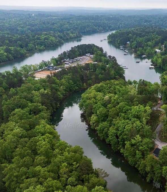 0.65 Acres of Residential Land for Sale in Double Springs, Alabama