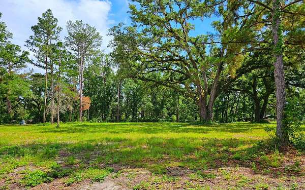 1 Acre of Residential Land for Sale in Live Oak, Florida