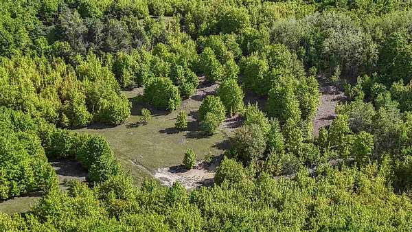 40 Acres of Recreational Land for Sale in Boyne City, Michigan