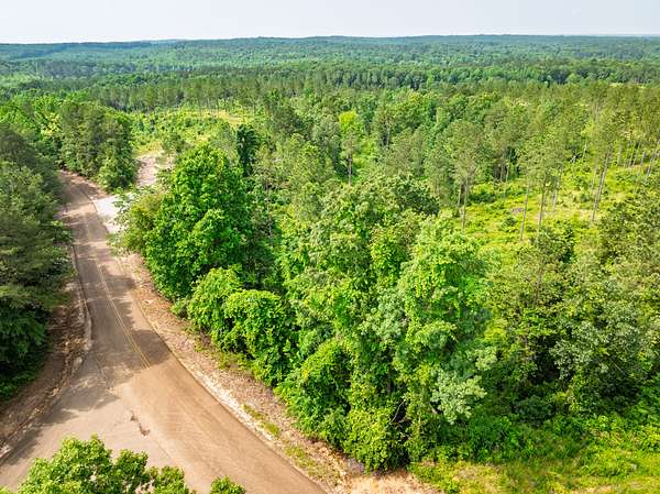 118 Acres of Recreational Land for Sale in Bolivar, Tennessee