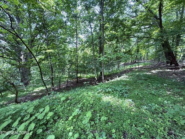 5.74 Acres of Land for Sale in Tazewell, Tennessee