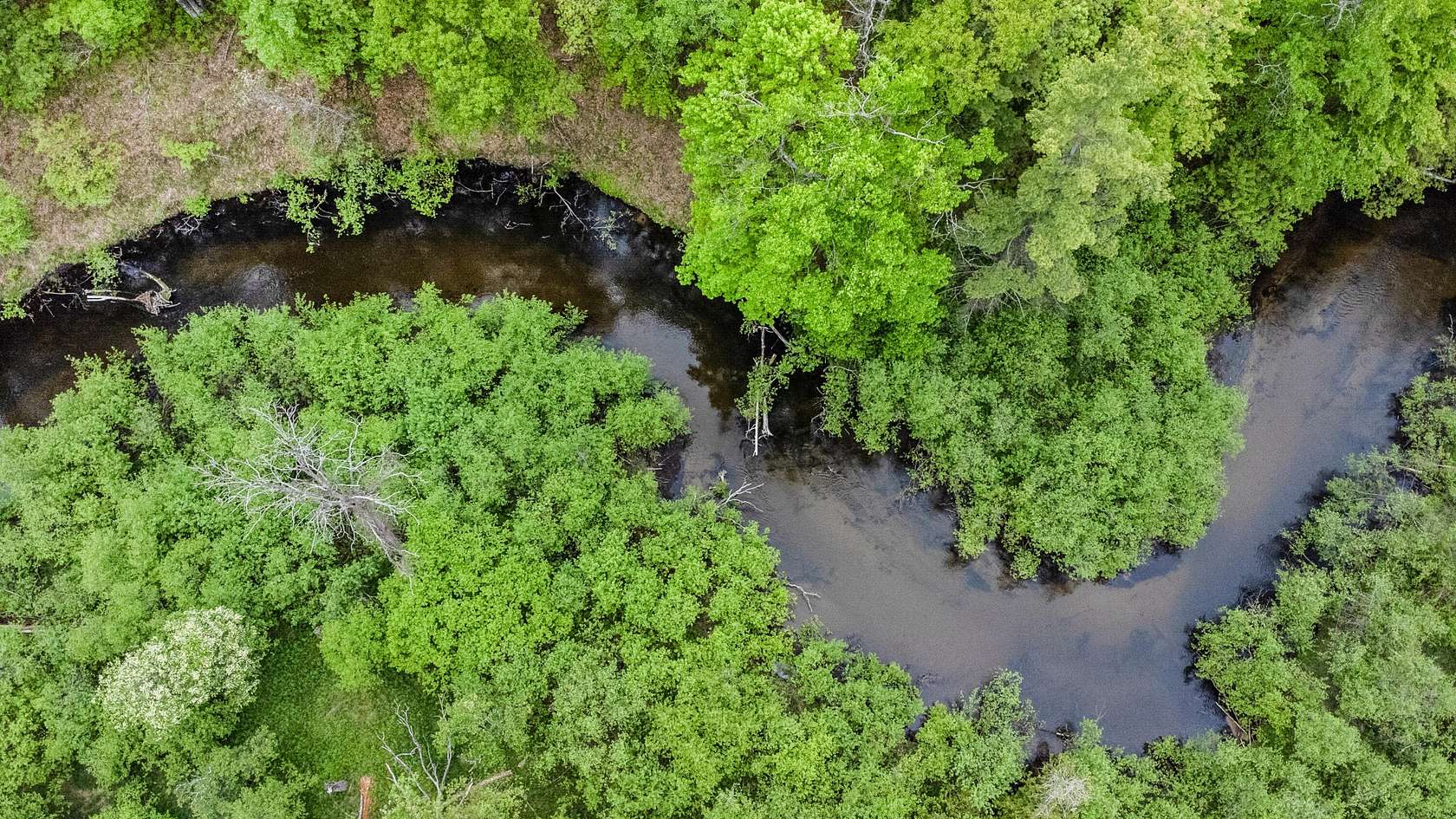 14.2 Acres of Recreational Land for Sale in Irons, Michigan