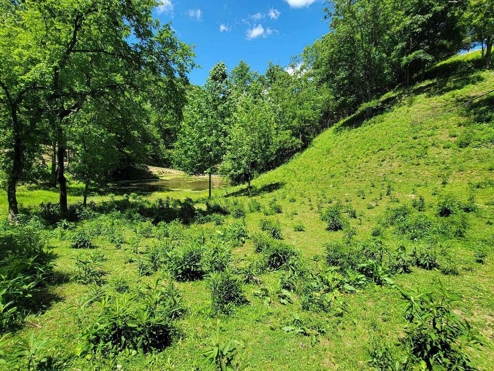 10 Acres of Agricultural Land for Sale in Rogersville, Tennessee