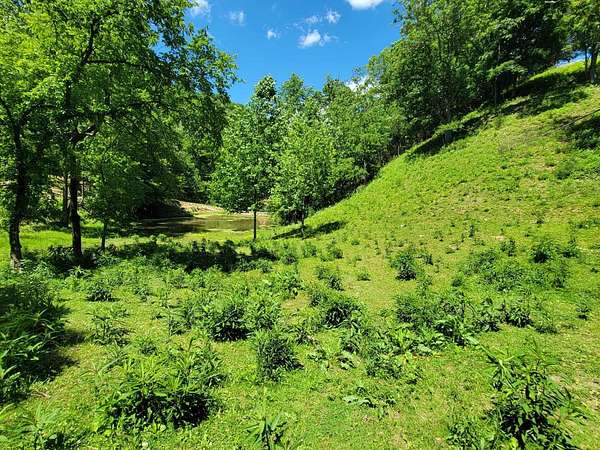 10 Acres of Agricultural Land for Sale in Rogersville, Tennessee