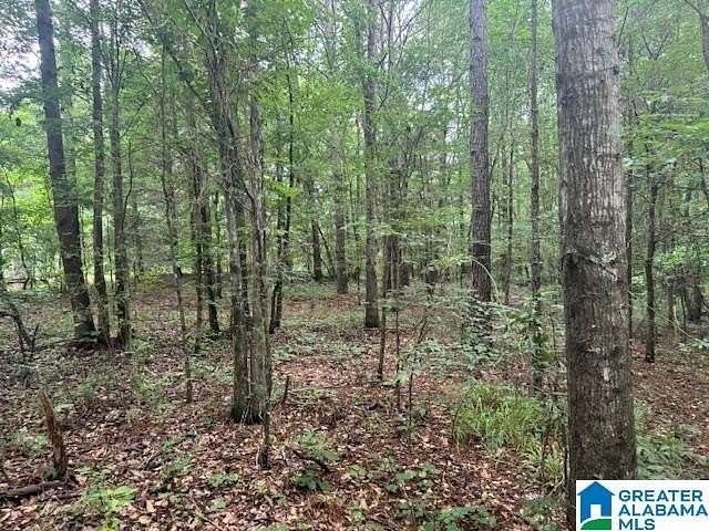 41 Acres of Recreational Land for Sale in Pell City, Alabama