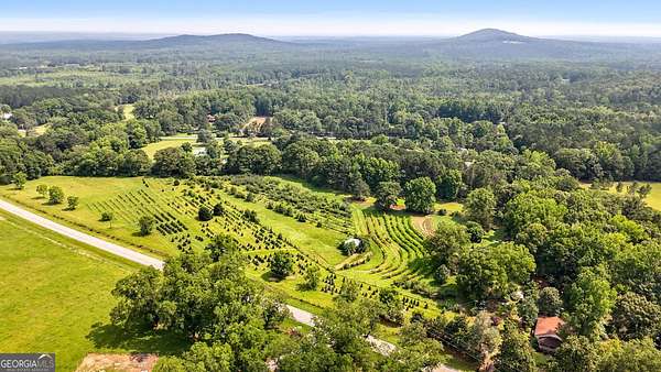 17 Acres of Land with Home for Sale in Thomaston, Georgia