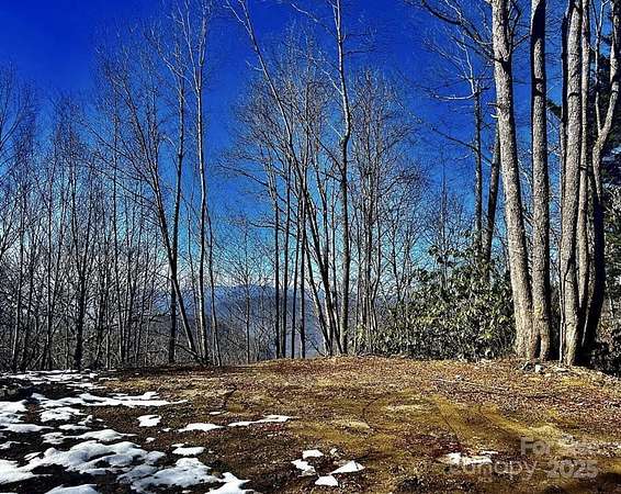 21.9 Acres of Recreational Land for Sale in Maggie Valley, North Carolina