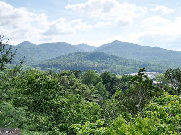 39.9 Acres of Land for Sale in Clayton, Georgia