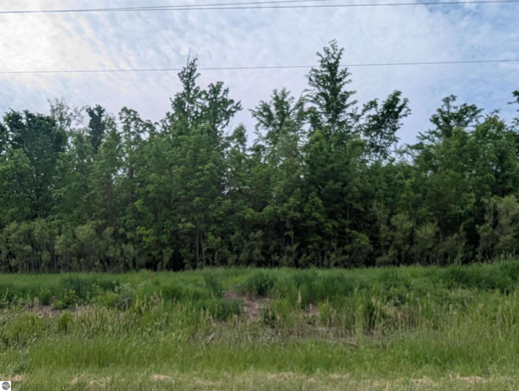 40 Acres of Recreational Land for Sale in Au Gres, Michigan