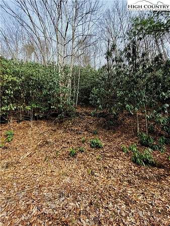 0.33 Acres of Land for Sale in Beech Mountain, North Carolina