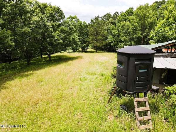 41 Acres of Recreational Land for Sale in Eupora, Mississippi