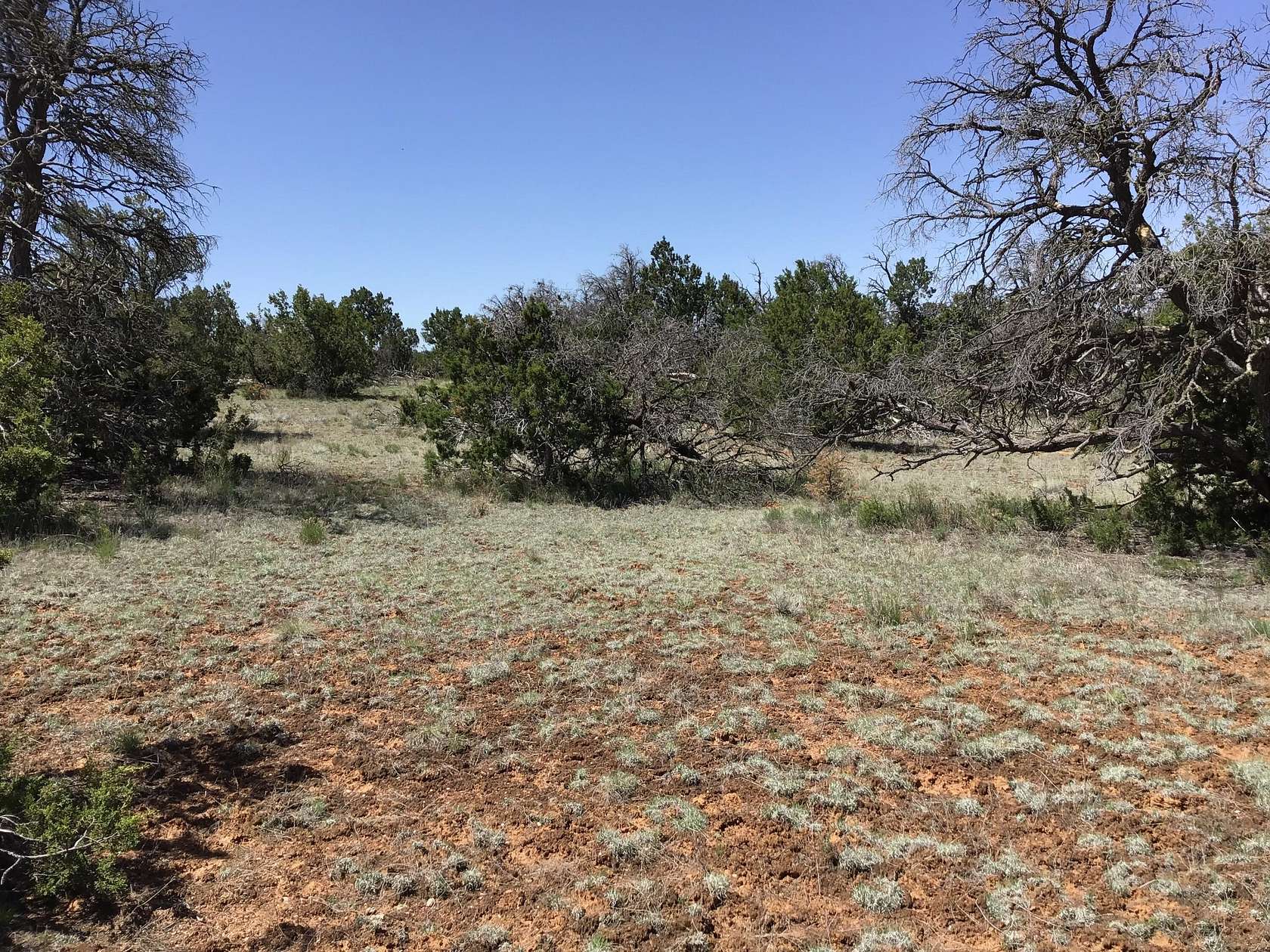 5 Acres of Residential Land for Sale in Ramah, New Mexico