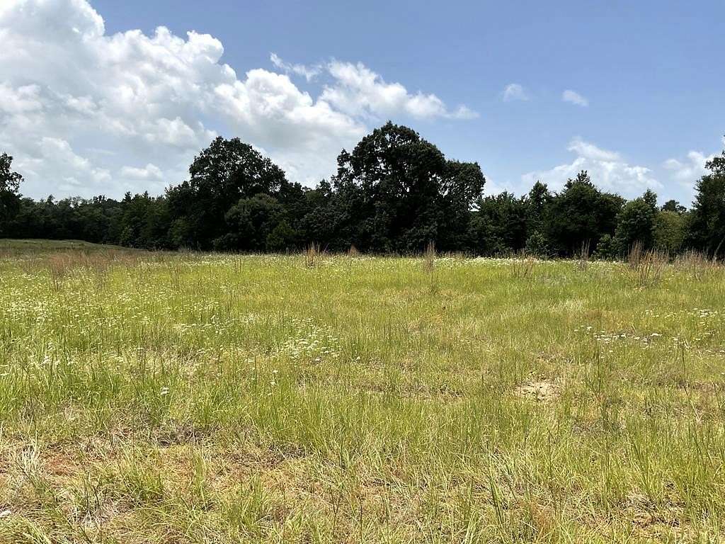 14.4 Acres of Land for Sale in Murchison, Texas