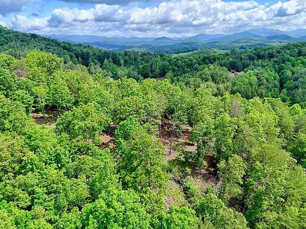 10 Acres of Land for Sale in Brasstown, North Carolina