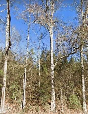 3 Acres of Residential Land for Sale in Kentwood, Louisiana