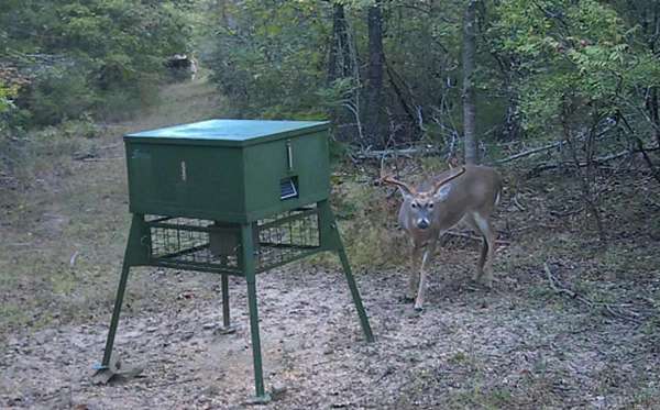 61.2 Acres of Recreational Land for Sale in Damascus, Arkansas