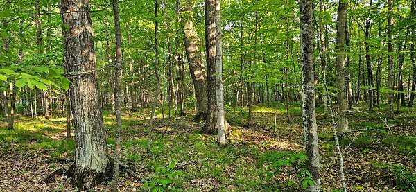 6.46 Acres of Land for Sale in Gibraltar Town, Wisconsin