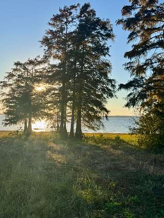 1 Acre of Residential Land for Sale in Mansfield, Louisiana