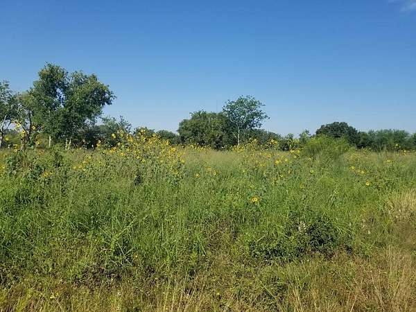 4 Acres of Land for Sale in Beeville, Texas