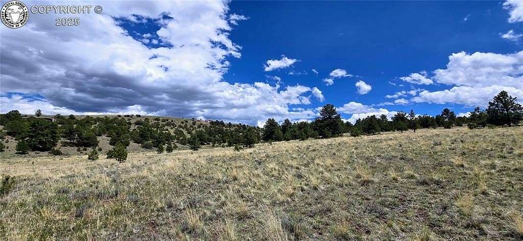 5 Acres of Residential Land for Sale in Westcliffe, Colorado