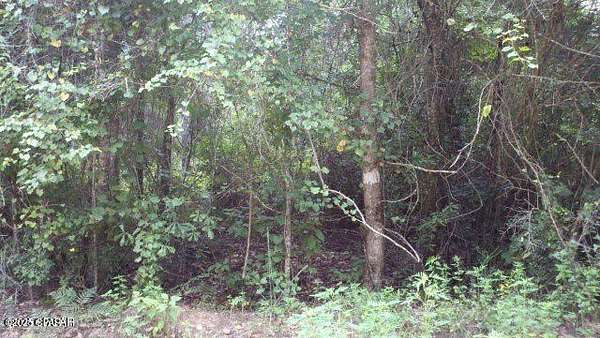 1 Acre of Land for Sale in Bonifay, Florida