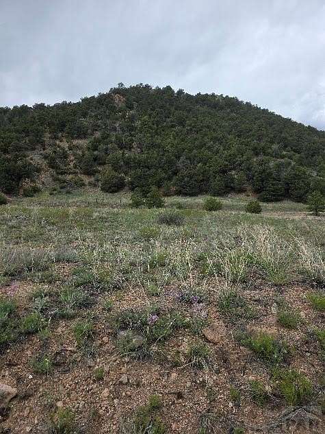 6.5 Acres of Land for Sale in Cotopaxi, Colorado