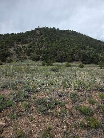6.5 Acres of Land for Sale in Cotopaxi, Colorado