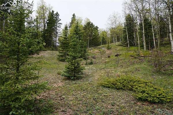 2.18 Acres of Residential Land for Sale in Cripple Creek, Colorado