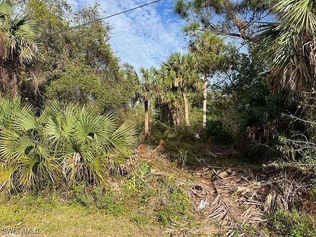 2.73 Acres of Residential Land for Sale in Naples, Florida