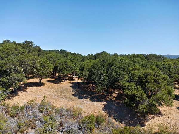 37.1 Acres of Agricultural & Residential Land for Sale in Carmel-by-the-Sea, California