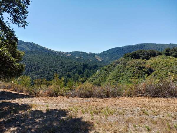 37.1 Acres of Agricultural & Residential Land for Sale in Carmel-by-the-Sea, California