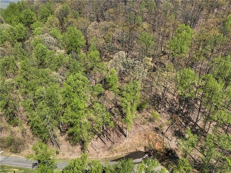 10.2 Acres of Land for Sale in Cleveland, Georgia