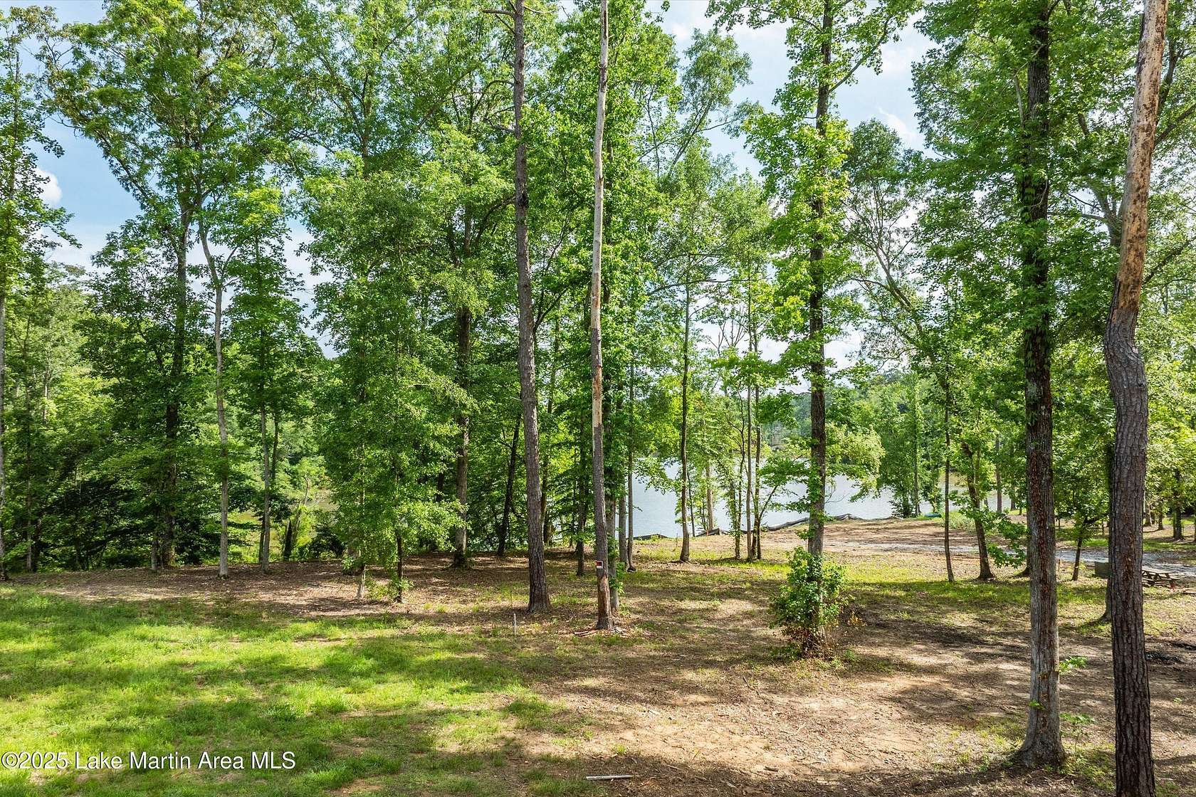 Residential Land for Sale in Jacksons' Gap, Alabama