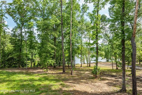 Residential Land for Sale in Jacksons' Gap, Alabama
