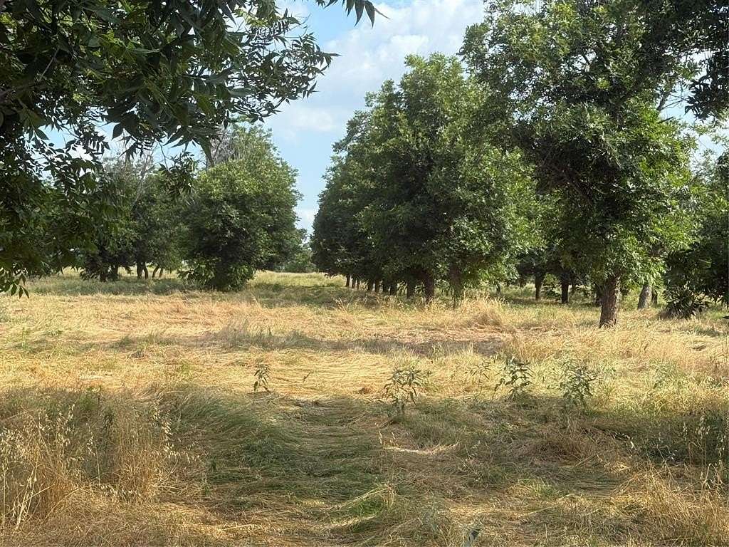 7 Acres of Agricultural Land for Sale in Comanche, Texas