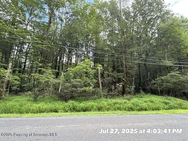 0.33 Acres of Residential Land for Sale in Drums, Pennsylvania